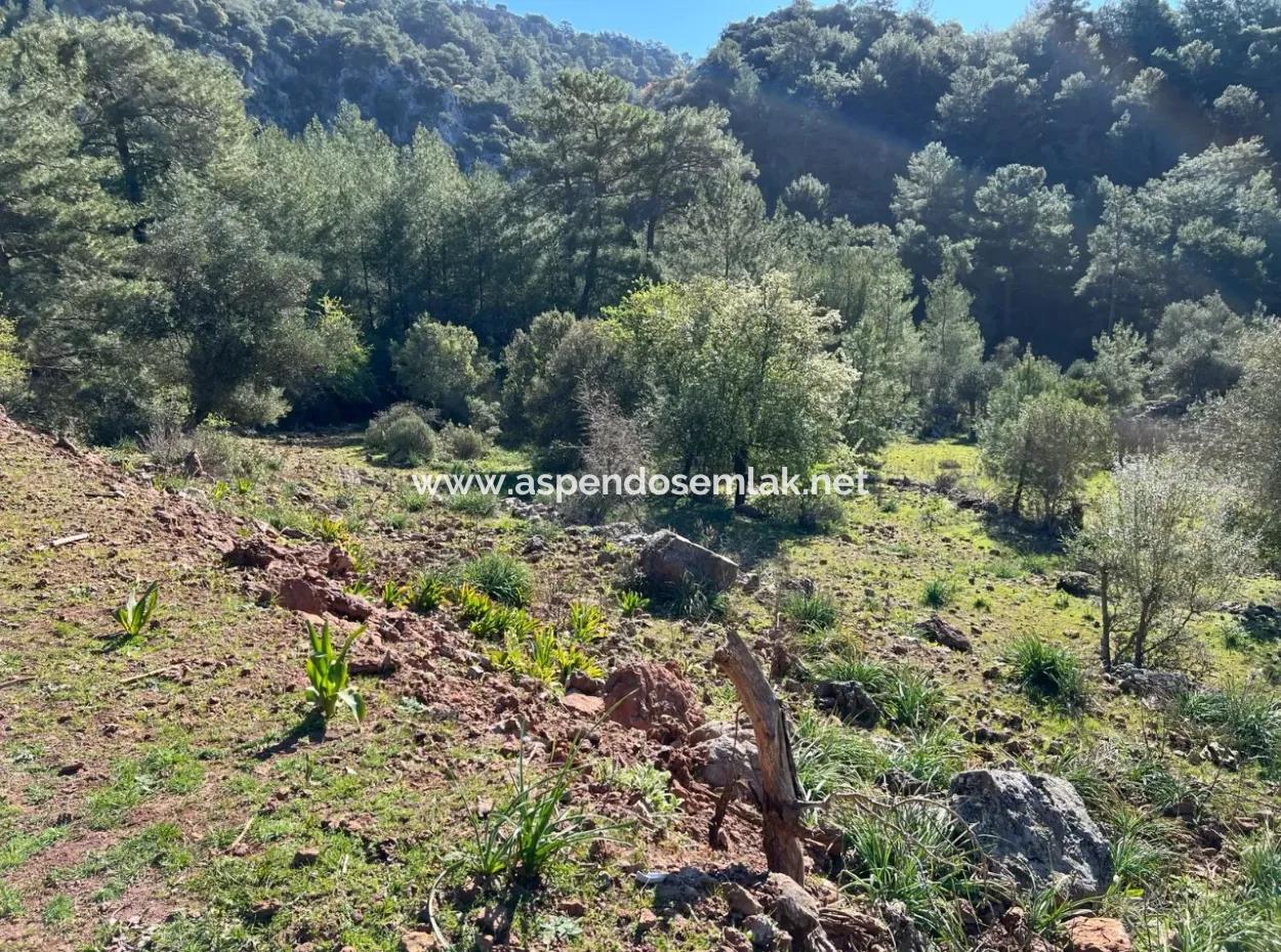 Grundstück Zum Verkauf In Natur Und Wald In Gökbel