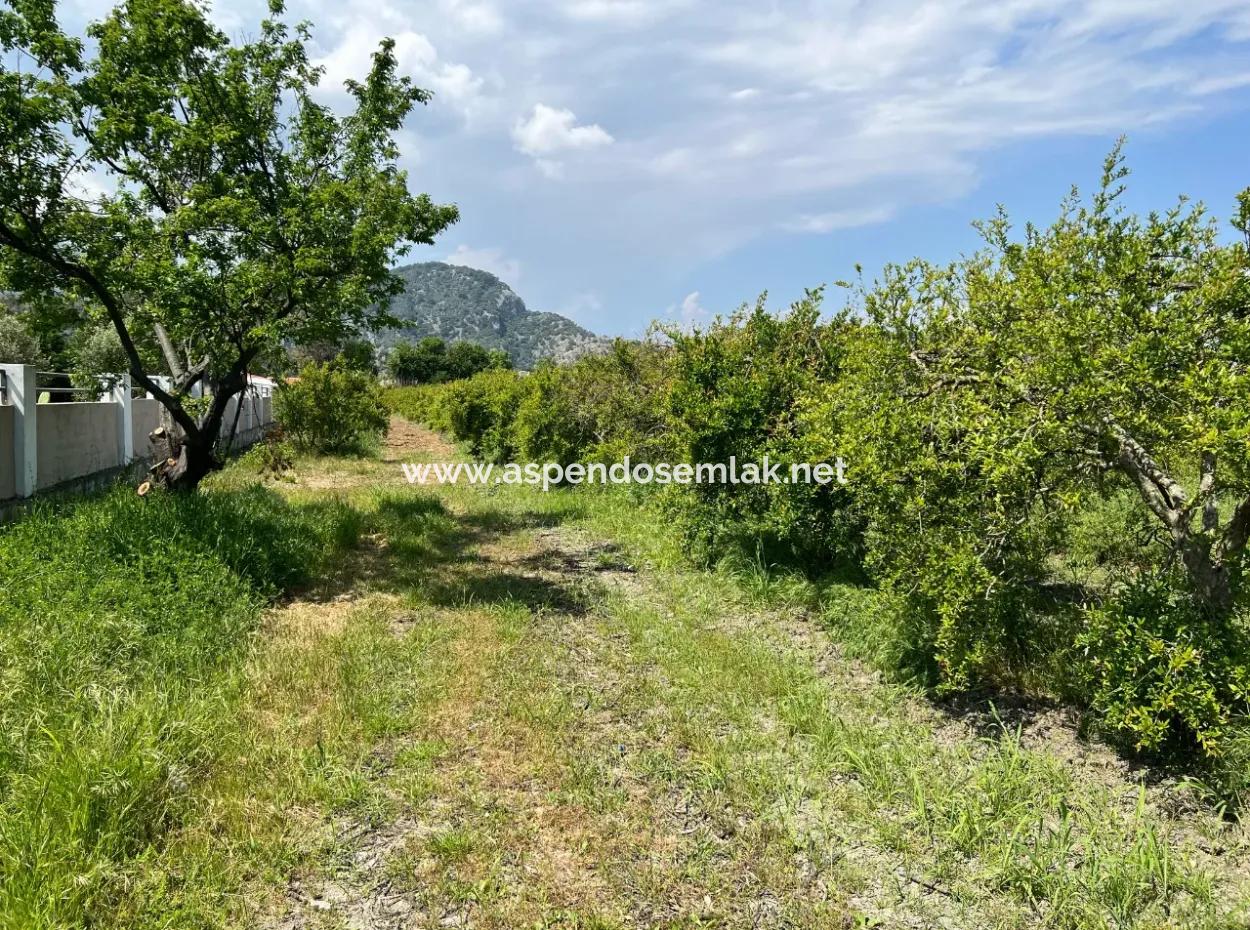 5.100 M2 Land Zum Verkauf In Der Gegend Von Dalyan Maraş Mit 5% Wohnzone