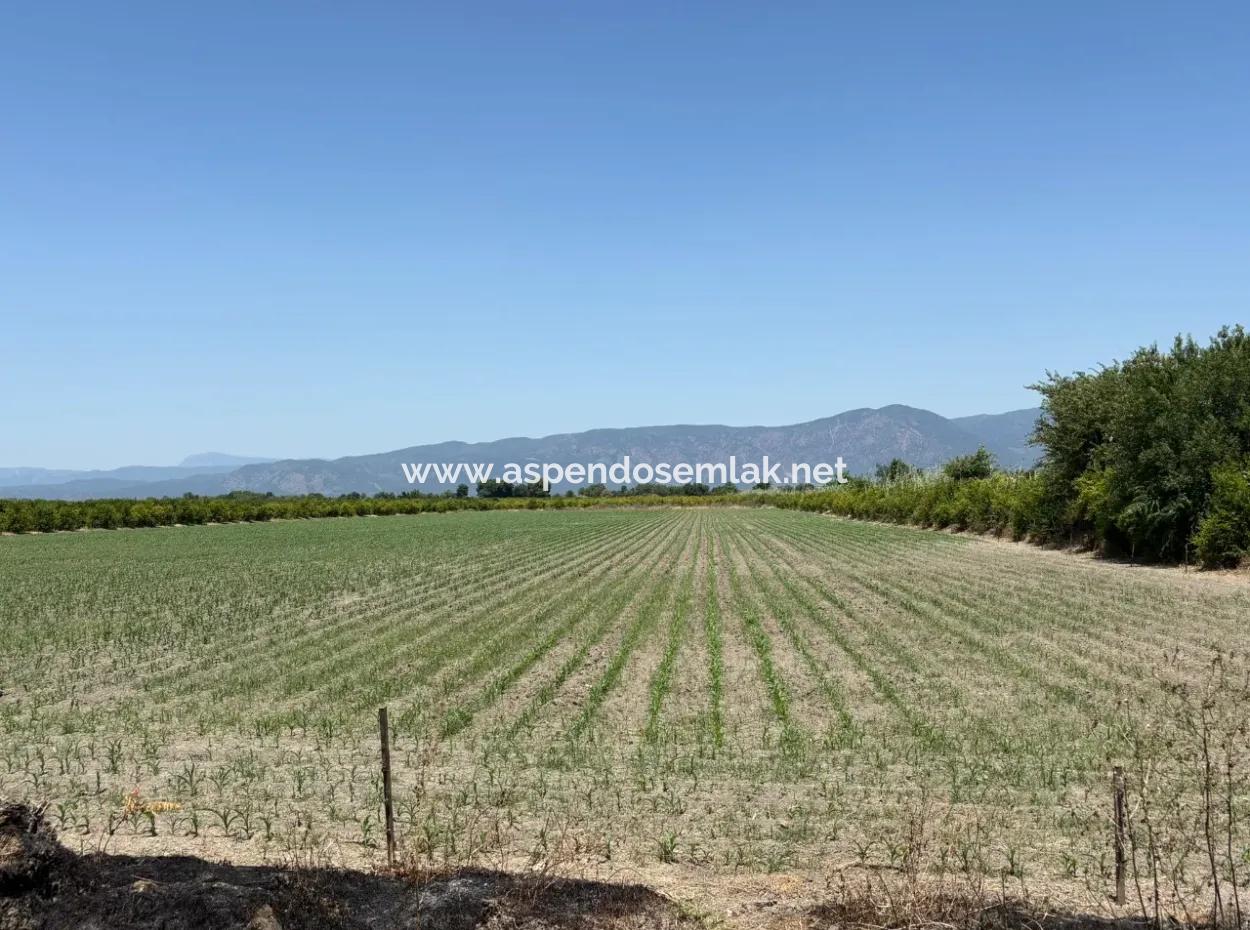 46.550M2 Grundstück Zum Verkauf In Tepearası
