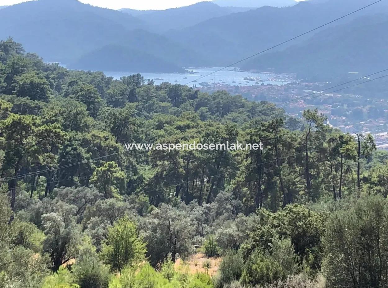 Tourismus-Zonen Grundstücke Zum Verkauf In Göcek Mit Meerblick Zum Verkauf In Gocek
