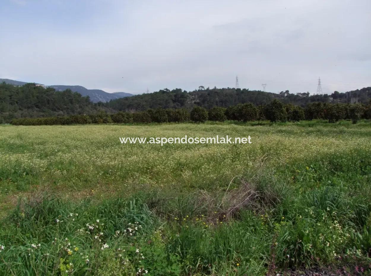 In Akyaka Zum Verkauf: Grundstück Zum Verkauf Bauernhof Zum Verkauf Einer Farm In Der Nähe Vom Meer, In Ars, Yatirimlik 21625M2