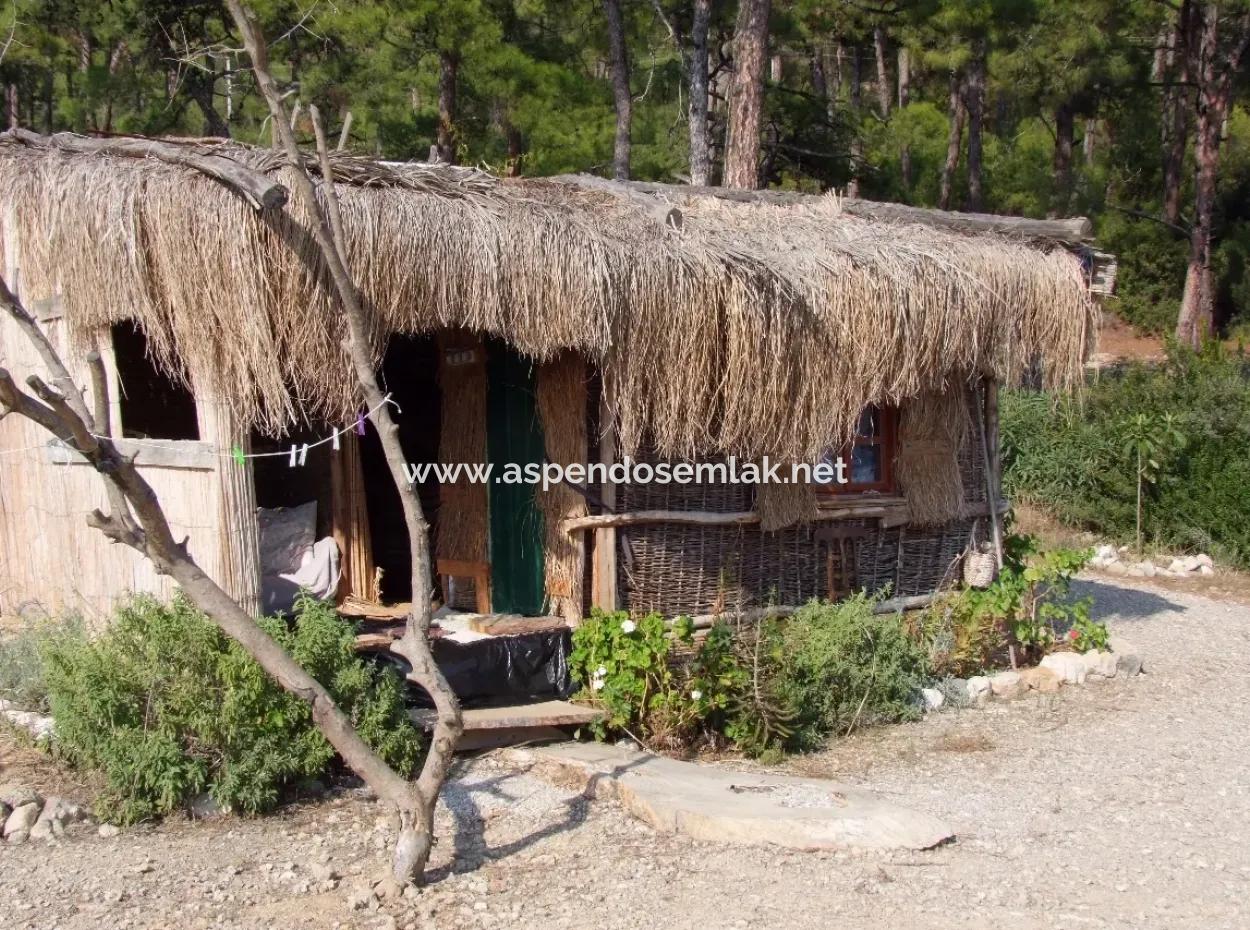 Beachfront Bungalow Zum Verkauf In Akbuk, Die Durch Das Meer Auf Einem Grundstück Von 800M2-Villa Zum Verkauf Turnalı