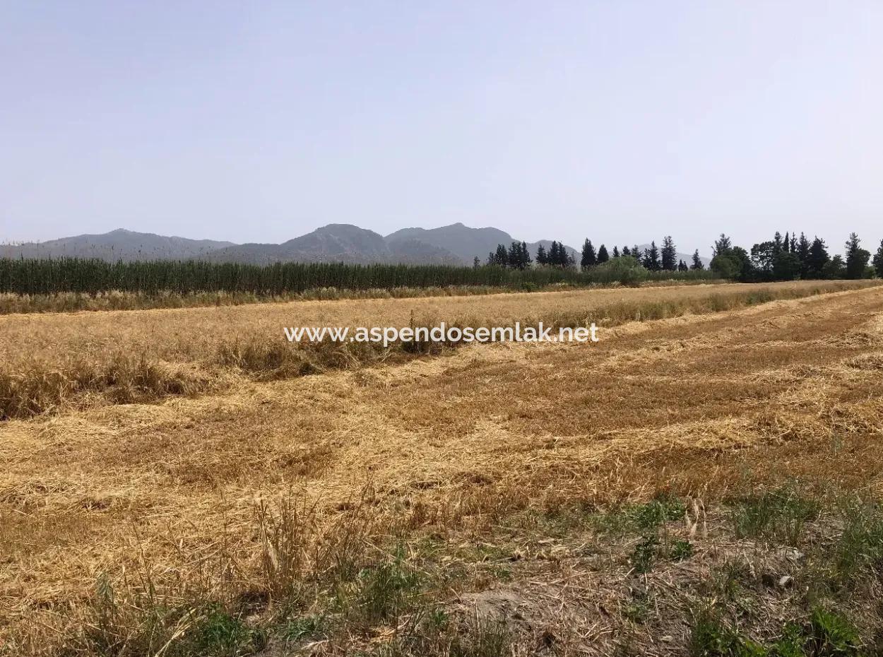 Ackerland Zum Verkauf 39 Hektar In Eskikoy