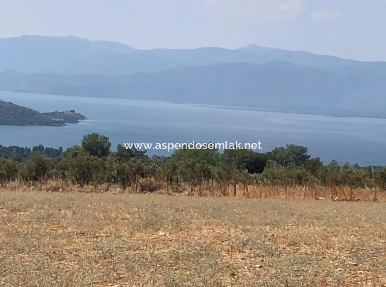 11.227M2 Grundstück Zum Verkauf Mit Seeblick In Köyceğiz Zeytinalan