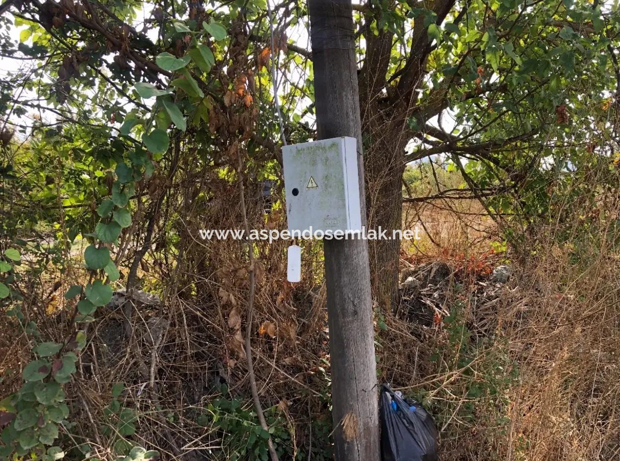 Ackerland Zu Verkaufen In Esköy 8500M2 Ackerland Zu Verkaufen