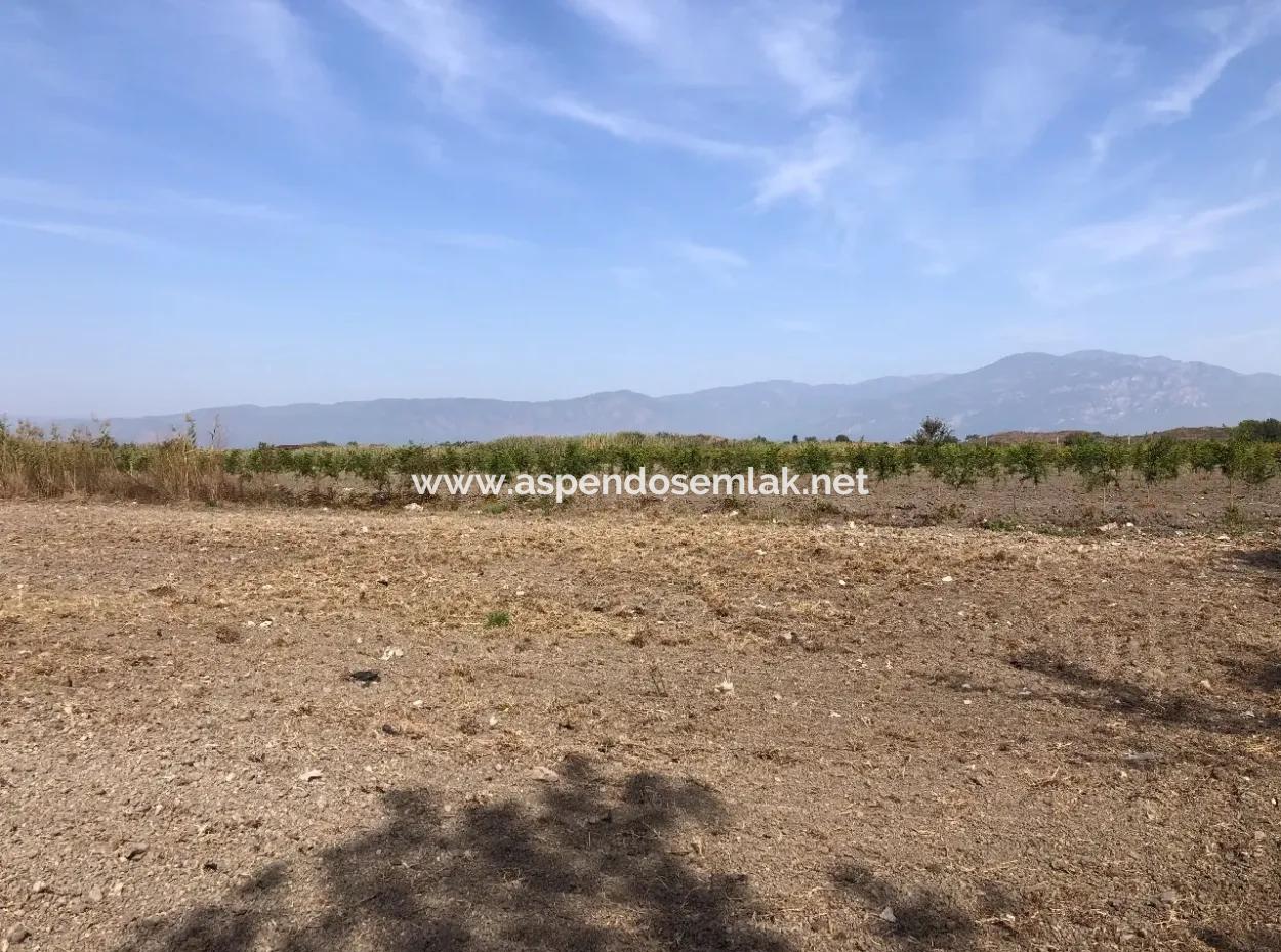 Ackerland Zu Verkaufen In Esköy 8500M2 Ackerland Zu Verkaufen