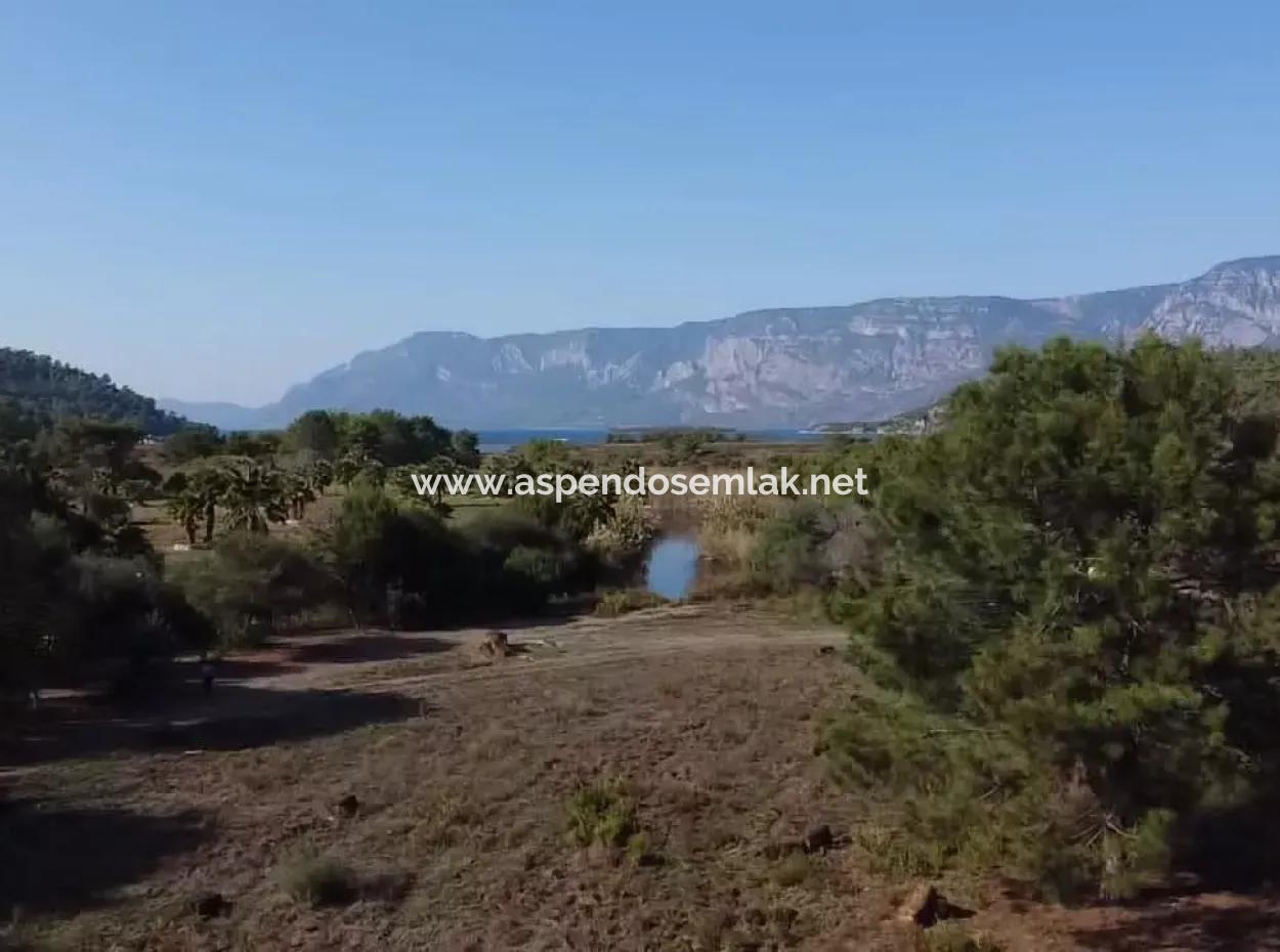 Land Zum Verkauf In 'Aml'da Marmaris 'Aml'da Meerblick 11720M2 Land Zu Verkaufen