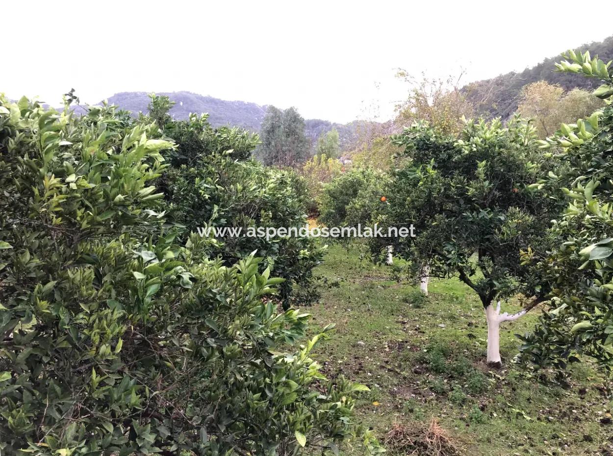 Eingeschossiges Einfamilienhaus Zum Verkauf In 1222M2 Grundstück In Archers