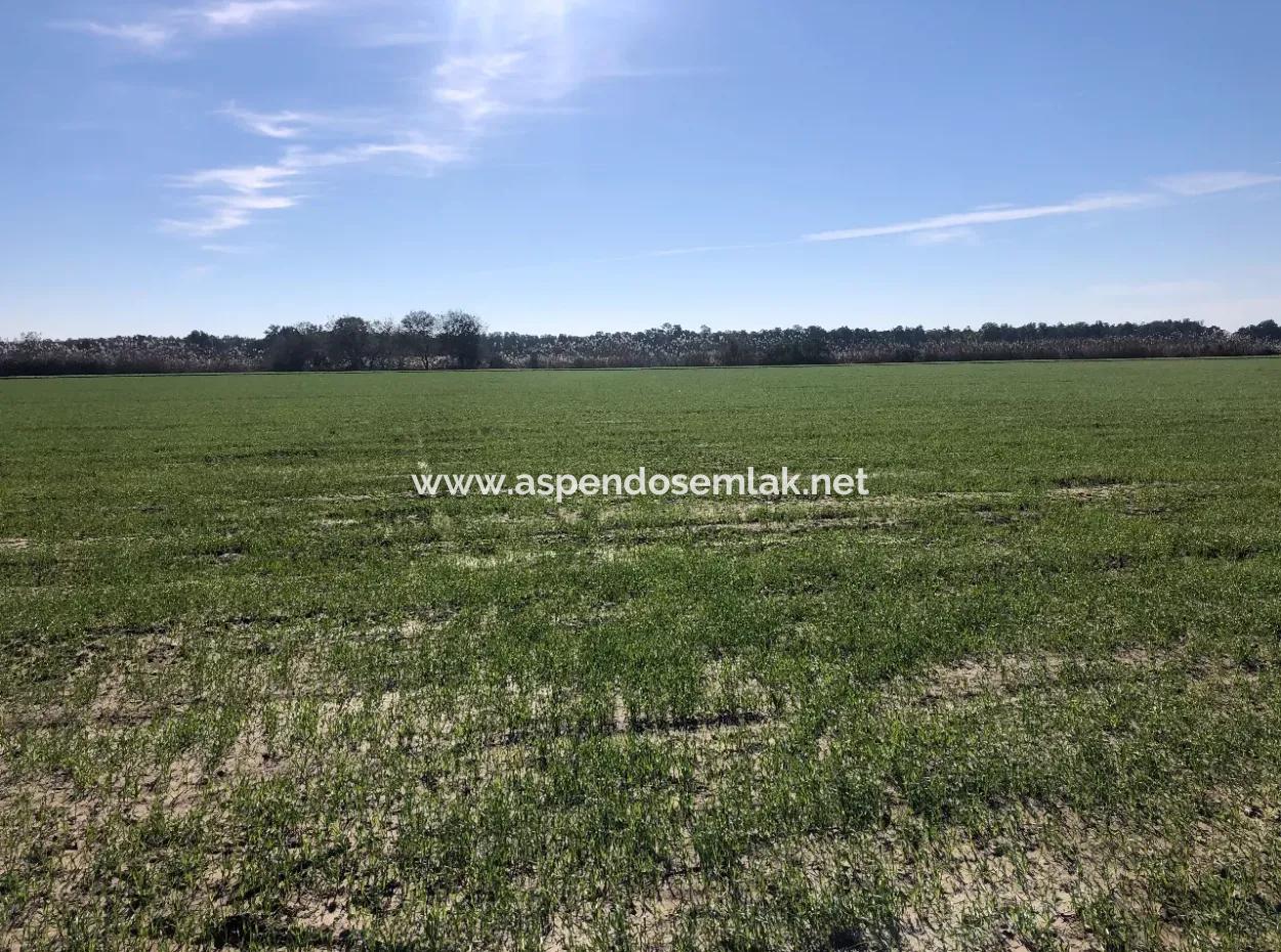 Land Zu Verkaufen In Sar'germede 30.000M2 Land Zum Verkauf Mit Meerblick