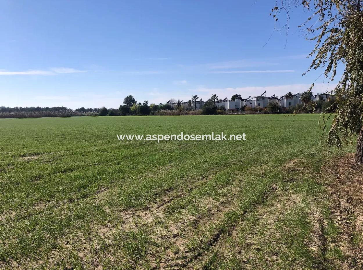 Land Zu Verkaufen In Sar'germede 30.000M2 Land Zum Verkauf Mit Meerblick