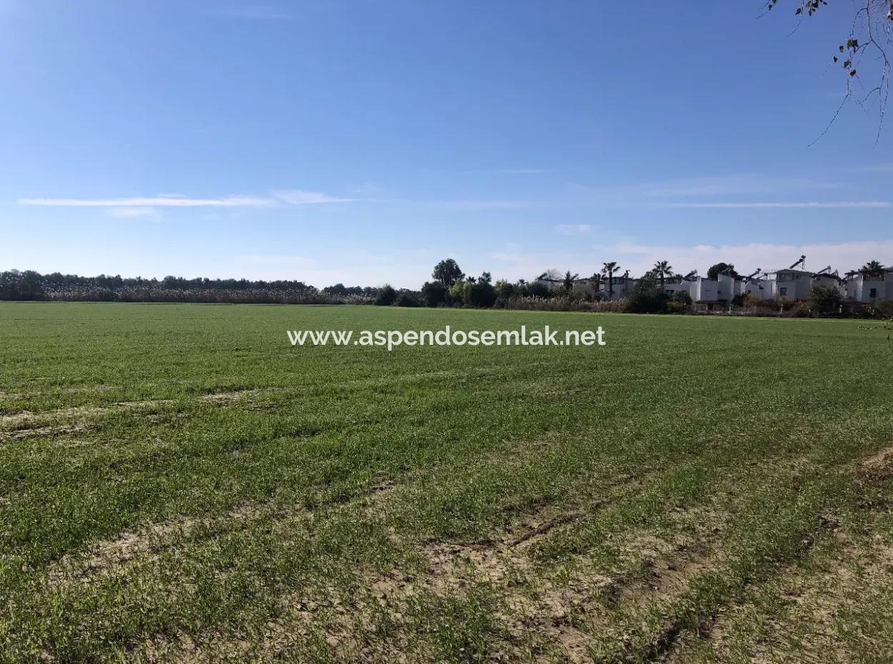 Land Zu Verkaufen In Sar'germede 30.000M2 Land Zum Verkauf Mit Meerblick