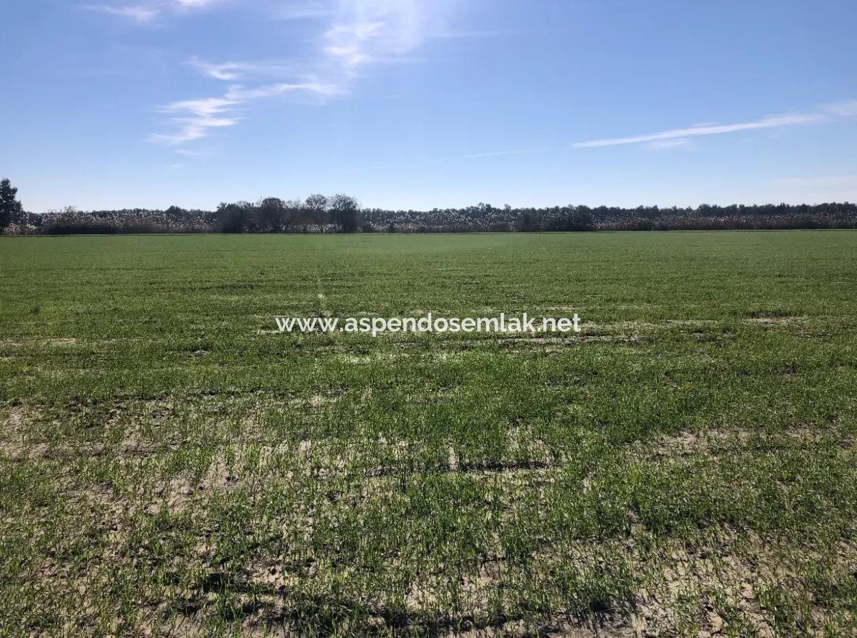 Land Zu Verkaufen In Sar'germede 30.000M2 Land Zum Verkauf Mit Meerblick