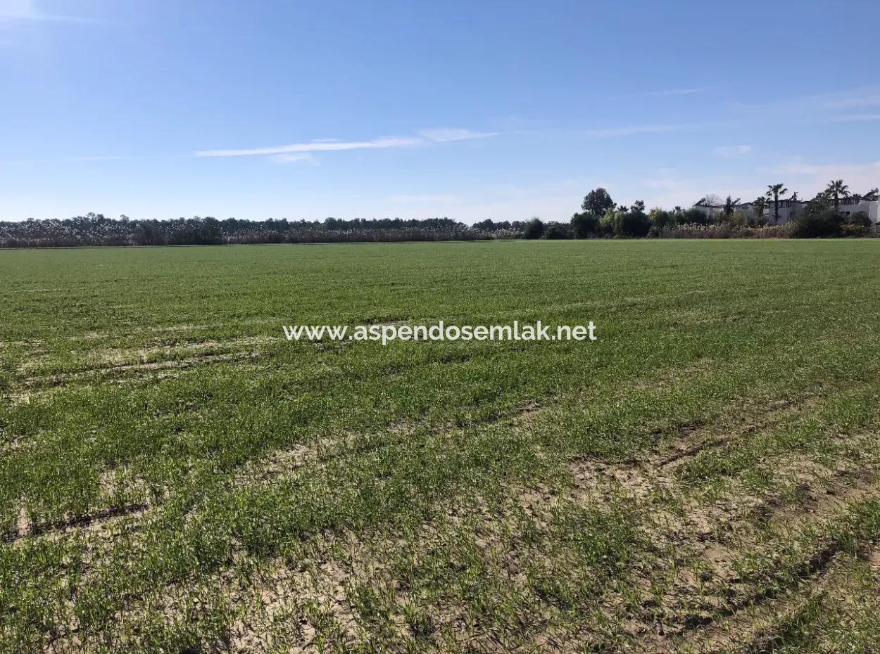 Land Zu Verkaufen In Sar'germede 30.000M2 Land Zum Verkauf Mit Meerblick