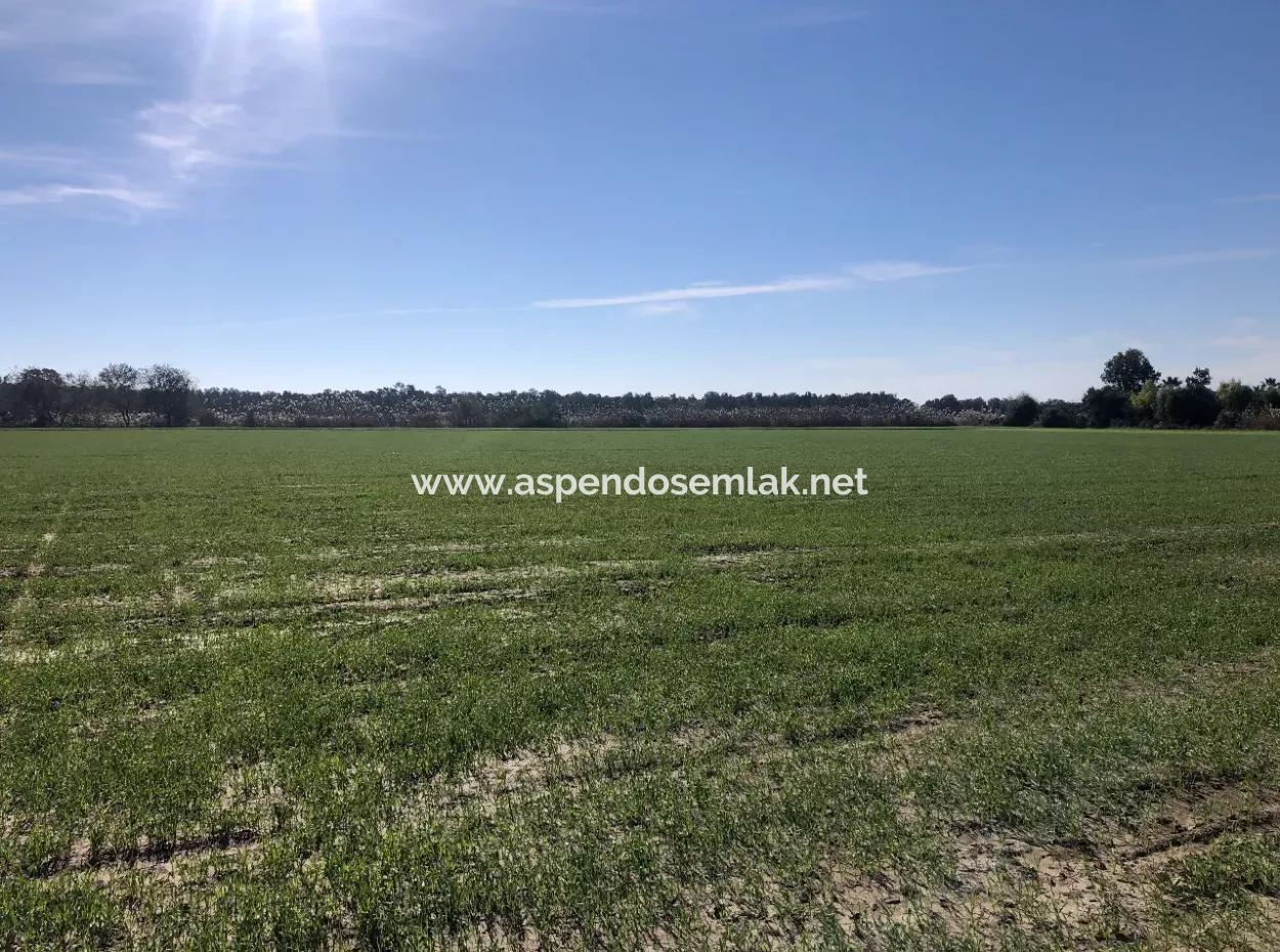 Land Zu Verkaufen In Sar'germede 30.000M2 Land Zum Verkauf Mit Meerblick