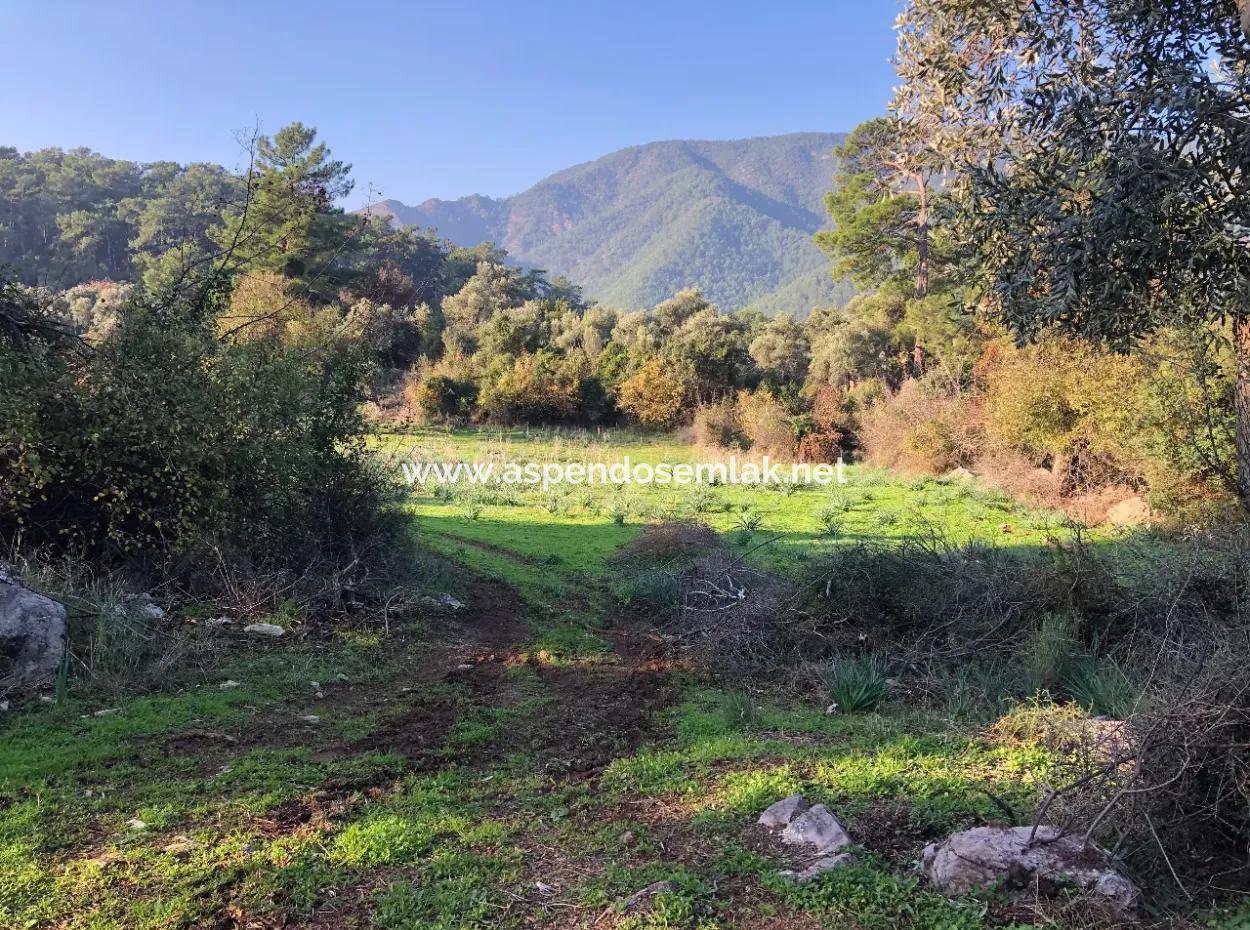 Ekincik Land Zu Verkaufen 10.038M2 Land Zum Verkauf Feld