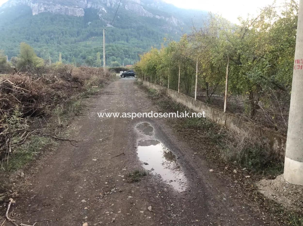 Sultaniye Land For Sale Near 10577M2 Lake Land For Sale