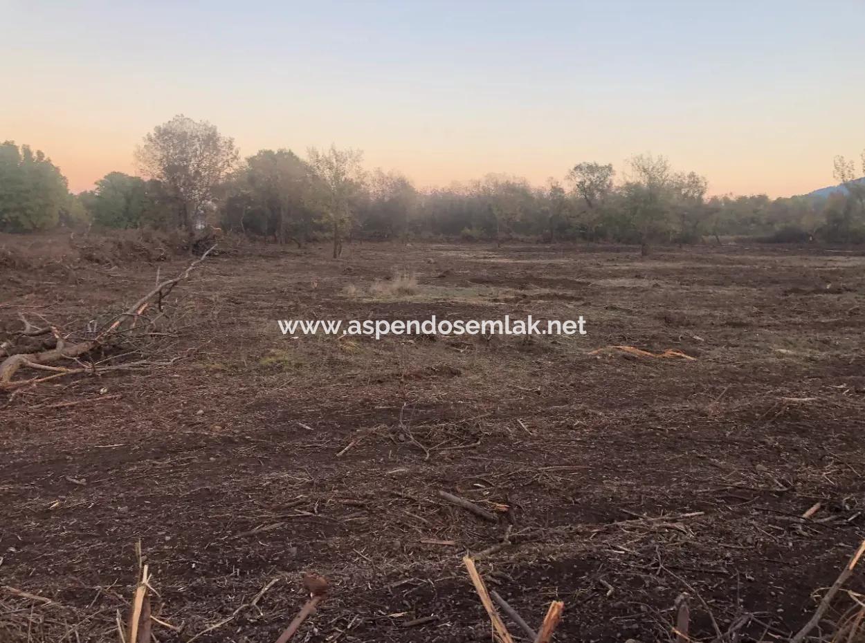 Sultaniye Land For Sale Near 10577M2 Lake Land For Sale