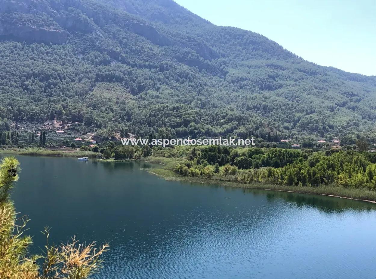 Sultaniye Land For Sale Near 10577M2 Lake Land For Sale