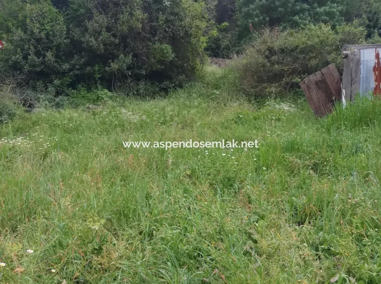 Grundstücke Zu Verkaufen In Amlida