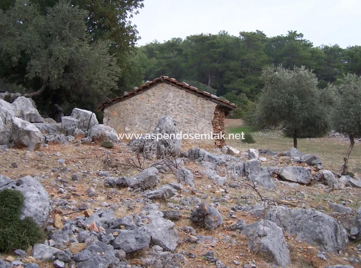 Steinhaus Zum Verkauf In Sarsalada Meerblick 4274M2 Grundstück
