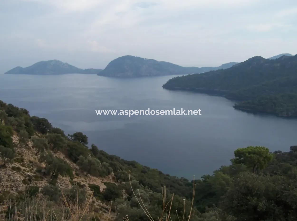 Steinhaus Zum Verkauf In Sarsalada Meerblick 4274M2 Grundstück