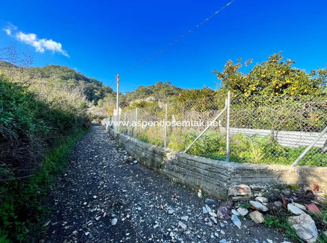 Einstöckiges Haus Zum Verkauf In 5000M2 Grundstück In Çandır