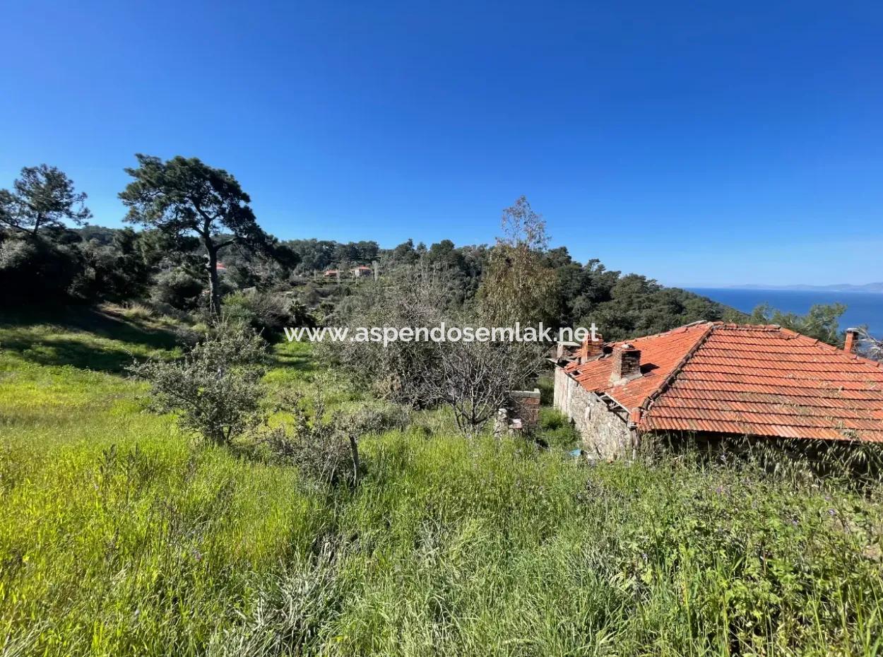 Dorfhaus Zum Verkauf Auf 4.400M2 Grundstück Mit Vollem Meerblick In Gökbel