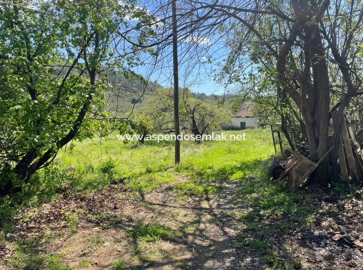 Mehrfamilienhaus Zum Verkauf In 5650M2 Feld In Zeytinalann