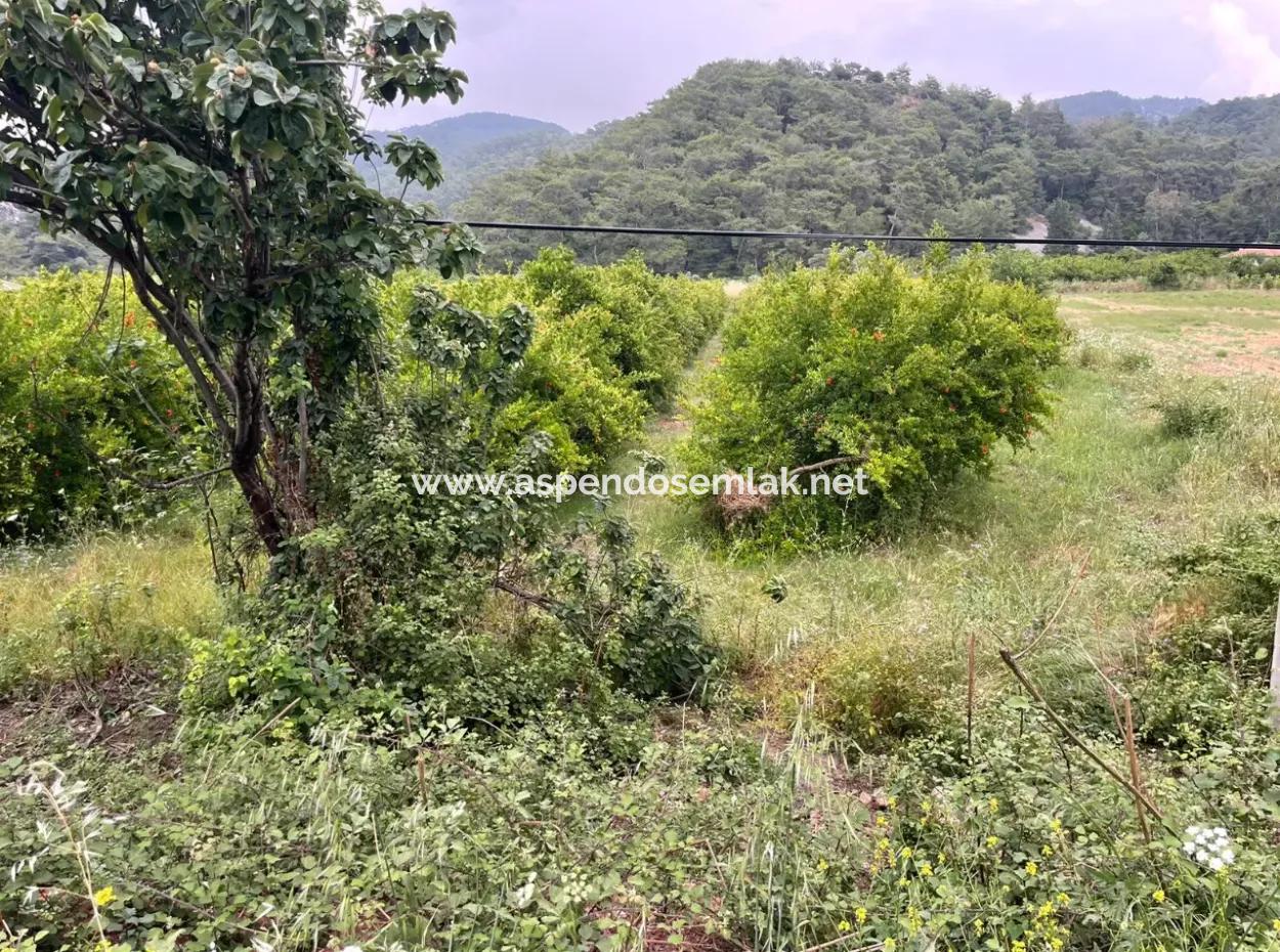 Gökbelde 14.000M2 Feld Zu Verkaufen