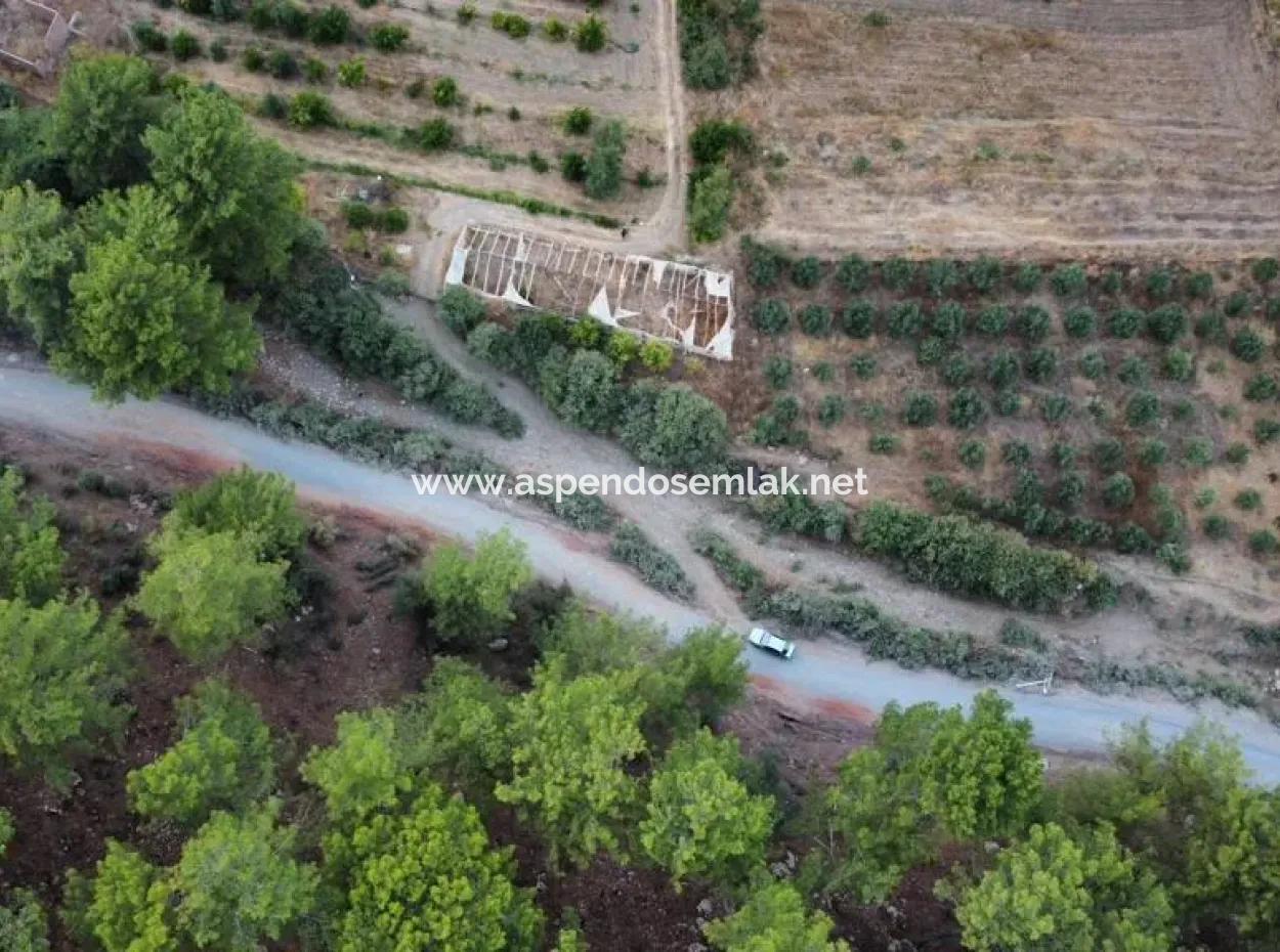 3578M2 Feld Zum Verkauf An Der Straße Von Aşı Koyu In Mergenlide