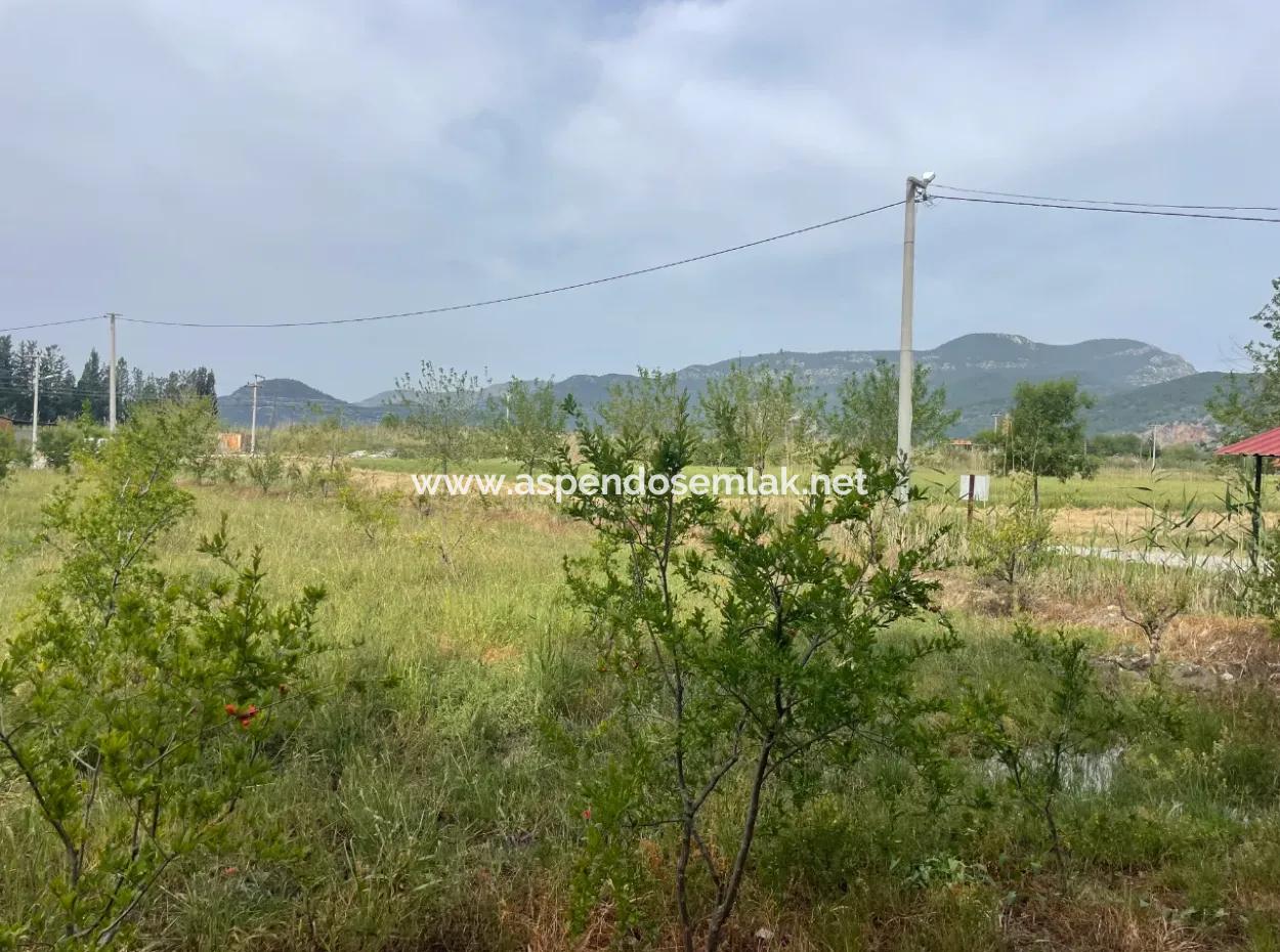 Feld Zu Verkaufen 6500M2 In Dalyan