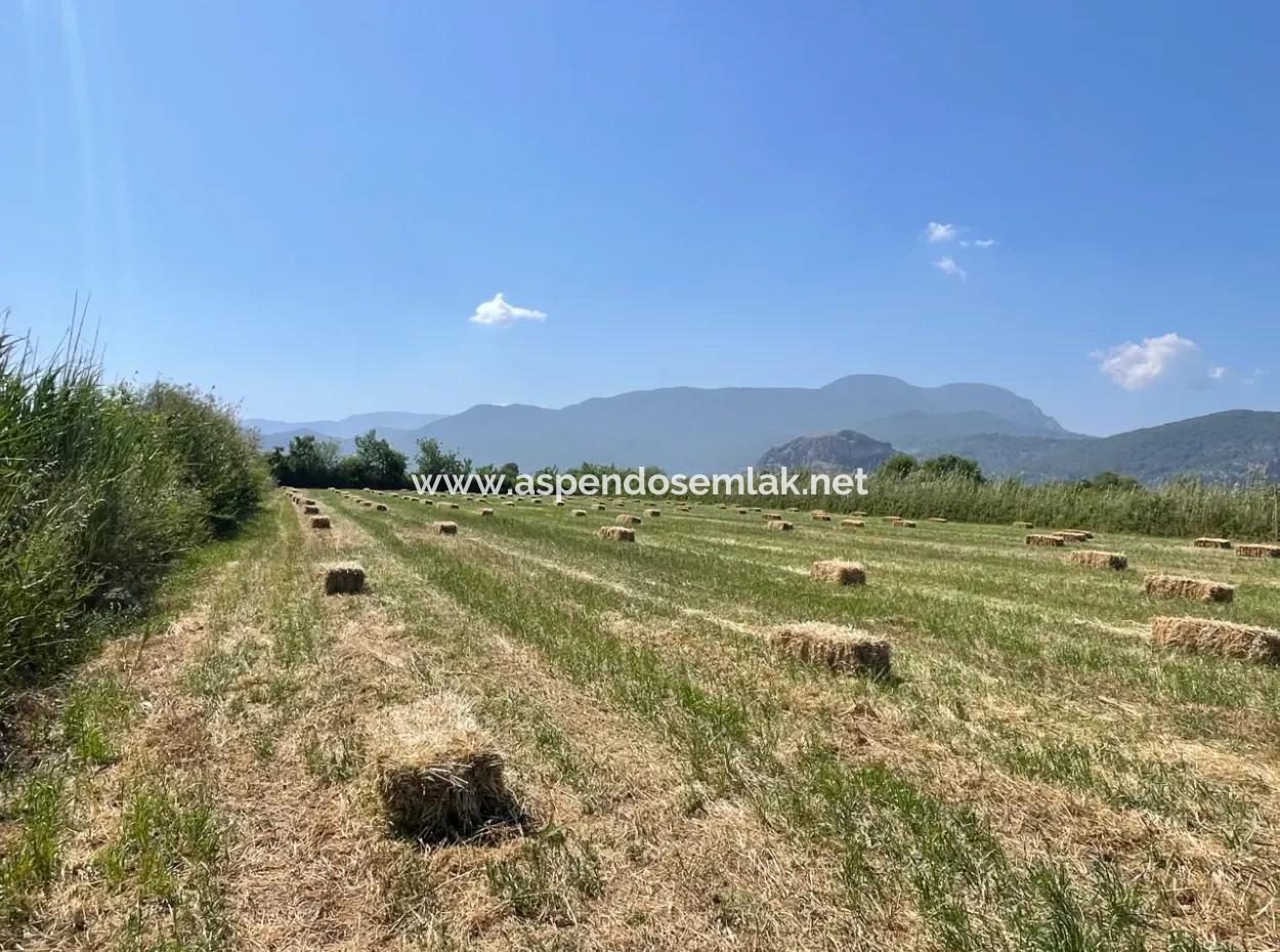 6.500 M2 Feld Zum Verkauf An Der Iztuzu-Straße In Dalyan