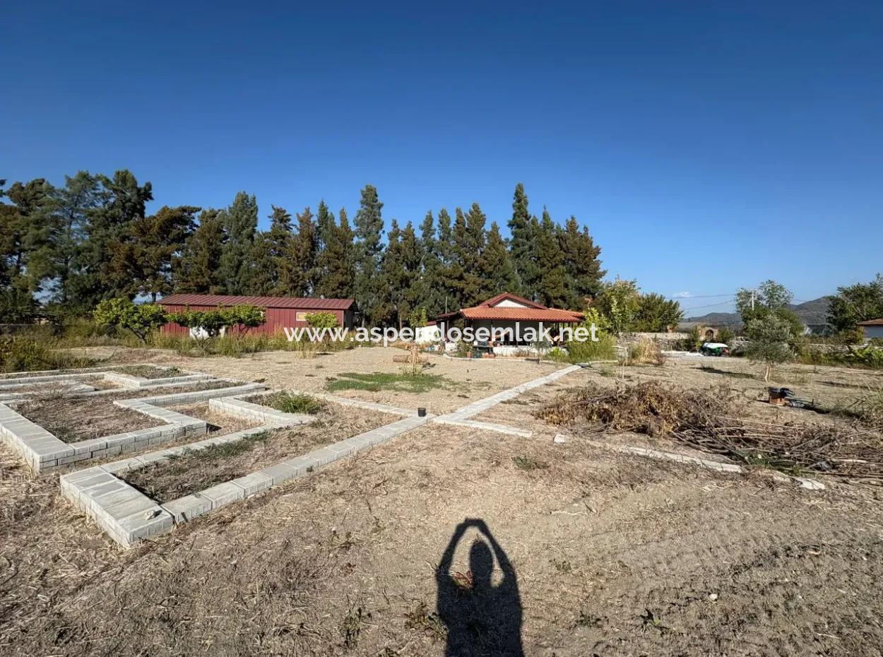 19.663M2 Ackerland Und Haus Zum Verkauf In Eskiköy