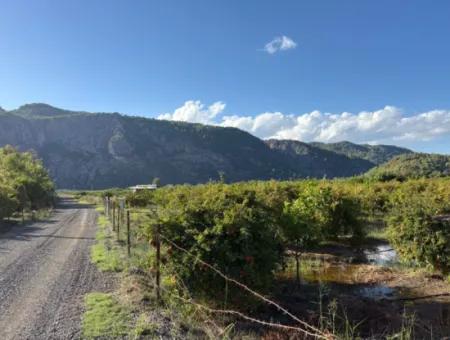 3900M2 Grundstück Zum Verkauf In Ortaca Yeşilyurt