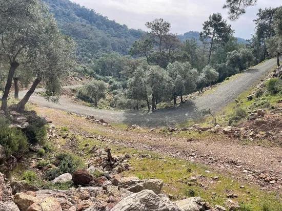 Köyceğiz Ekincik Mit Meerblick 7.000m2 2b Zu Verkaufen Olivenhain