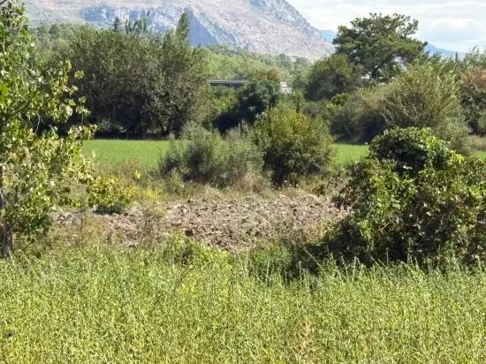 10.500 M2 Zum Verkauf Feld In Köyceğiz Zeytinalanı