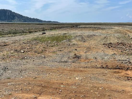 19.600 M² Großes Grundstück Zum Verkauf, Direkt An Der Straße Dalyan Iztuzu Beach Gelegen.