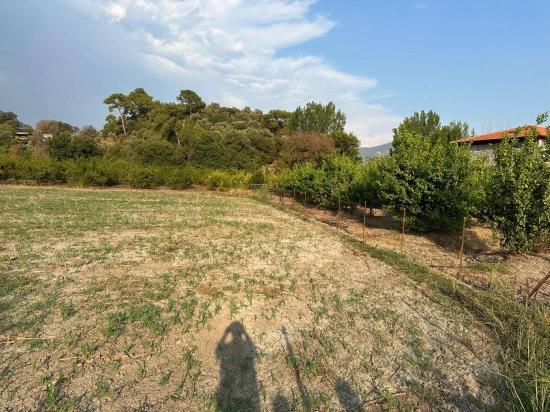 1160 M² Großes Grundstück Zum Verkauf In Rızai-taksim Im Dorfwohngebiet In Çandır
