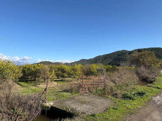 23.000 M² Großes Freistehendes Grundstück In Tepearası Zu Verkaufen.
