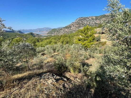 3514 M² Grundstück Zum Verkauf Mit Vollem Meerblick In Gökbel