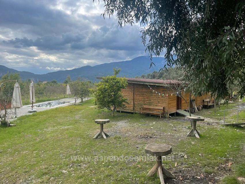 Boutique Hotel And Bungalows For Sale On An 11,000M2 Plot In Dalyan