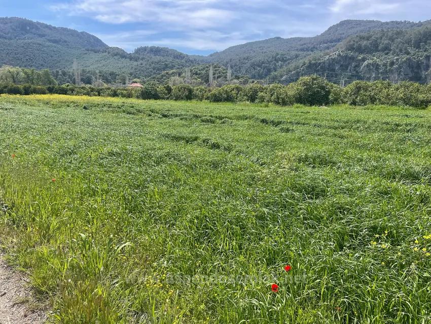 Archers' In Okçular'da 736M2 Olan 250M2 Construction Licensed For Sale Plot