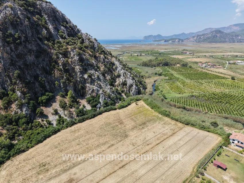 Field For sale in Dalyan Nbh. Ortaca - Field Zoned - 20.786 m²