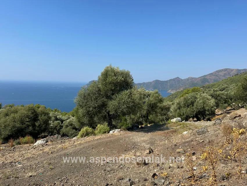 Field For sale in Çandır Nbh. Köyceğiz - Field Zoned - 21.000 m²