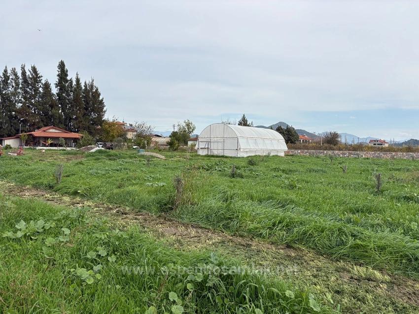 19,663 M² Farm Land And House In Eskiköy