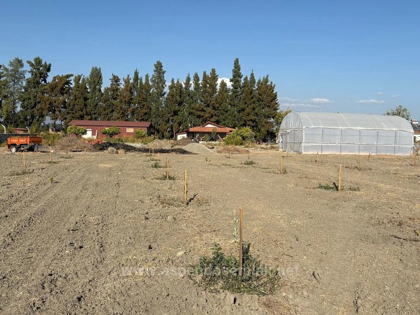 19,663 M² Farm Land And House In Eskiköy