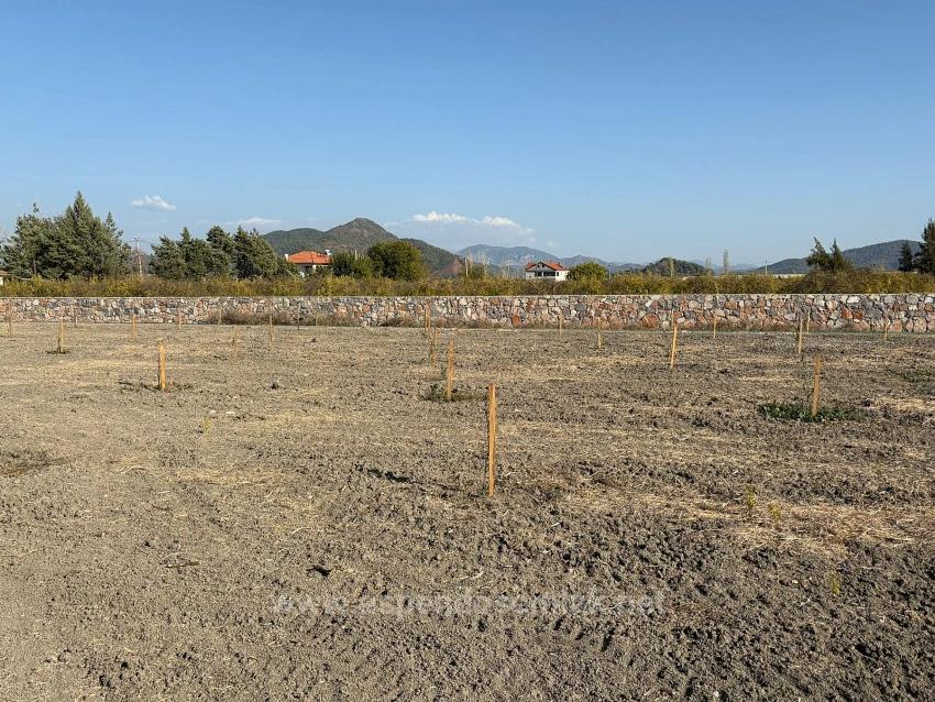 19,663 M² Farm Land And House In Eskiköy