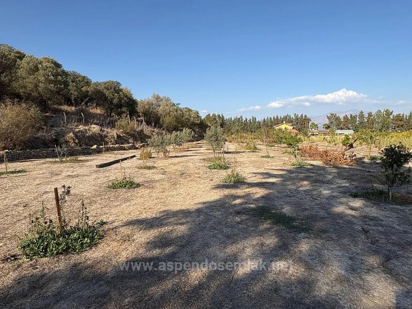 19,663 M² Farm Land And House In Eskiköy