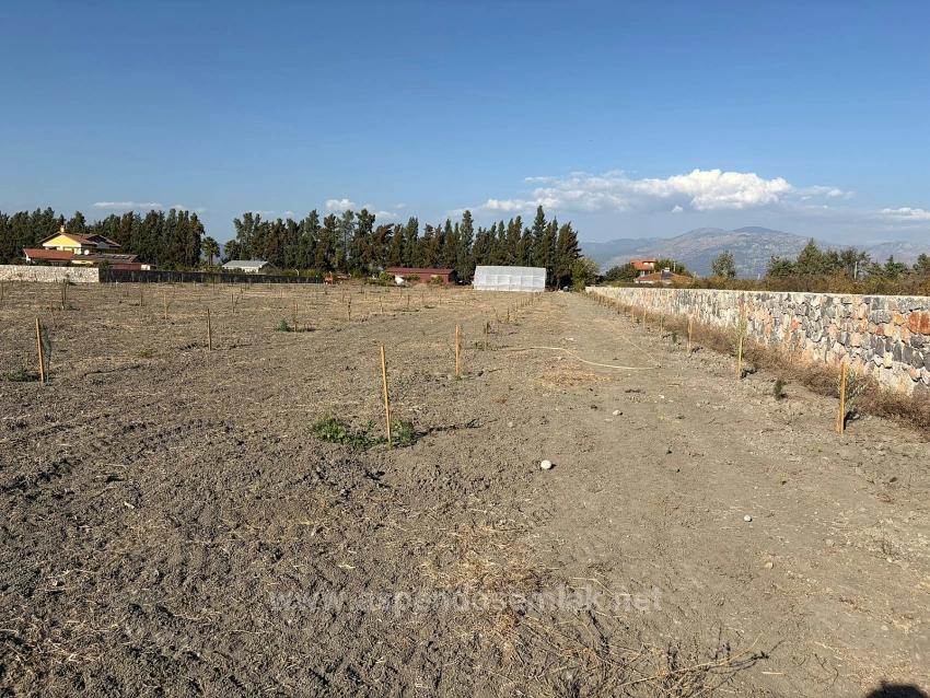 19,663 M² Farm Land And House In Eskiköy