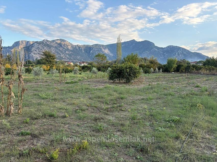 Land For Sale in Dalyan Nbh. Ortaca - Housing Zoned - 7.450 m²